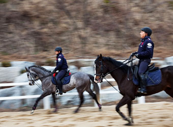 1000평 규모의 실외마장은 용문 시내가 한 눈에 내려다 보이는 전망 좋은 숲 속에 위치하고 있어 자연과 함께 승마를  즐기실 수 있습니다. 초보자들도 안전하게 기승할 수 있도록 원형 트랙을 갖추고 있으며, 멋진 경기 모습과 다양한  이벤트를 선사하는 공간이기도 합니다.