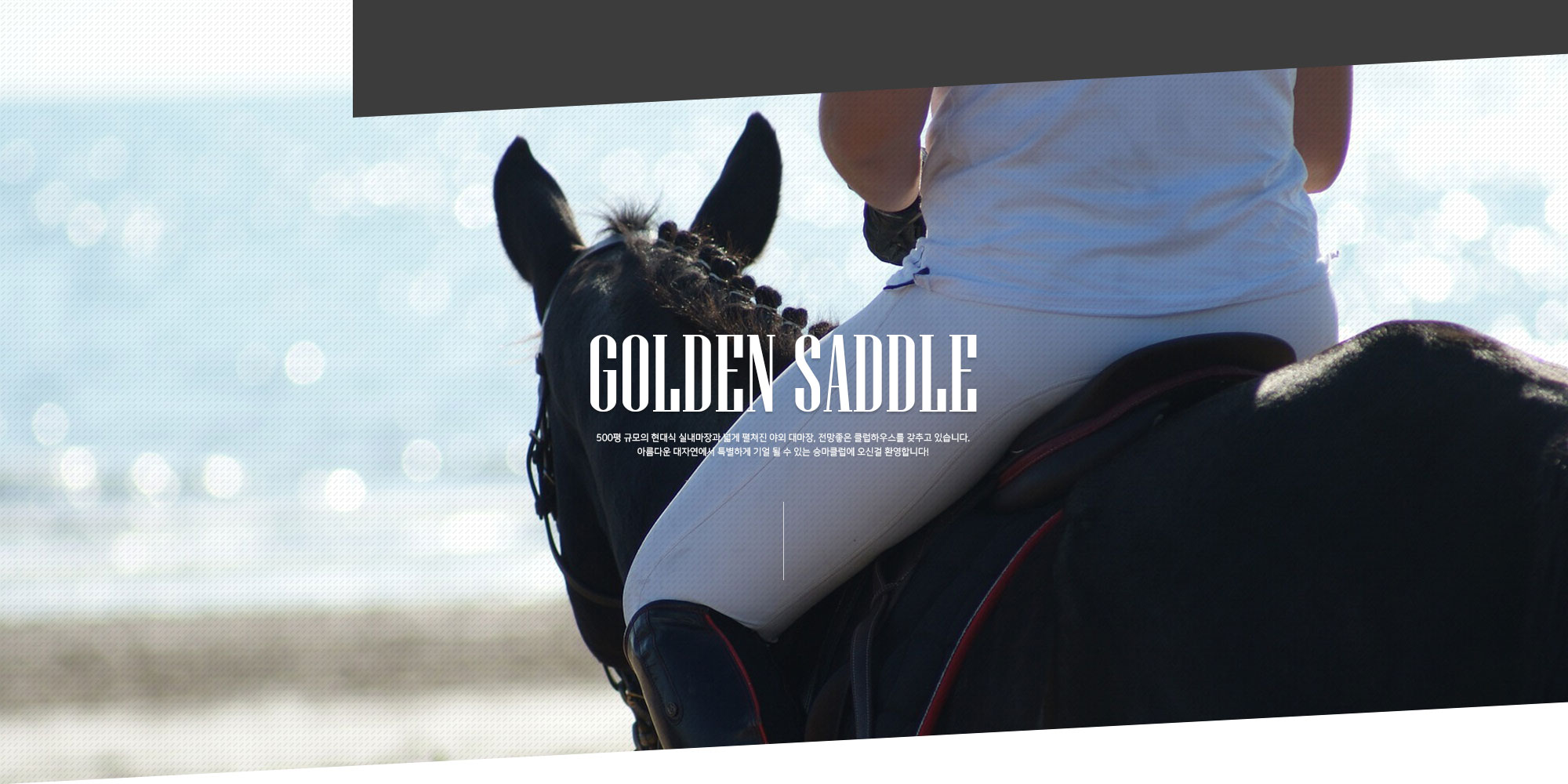 GOLDEN SADDLE